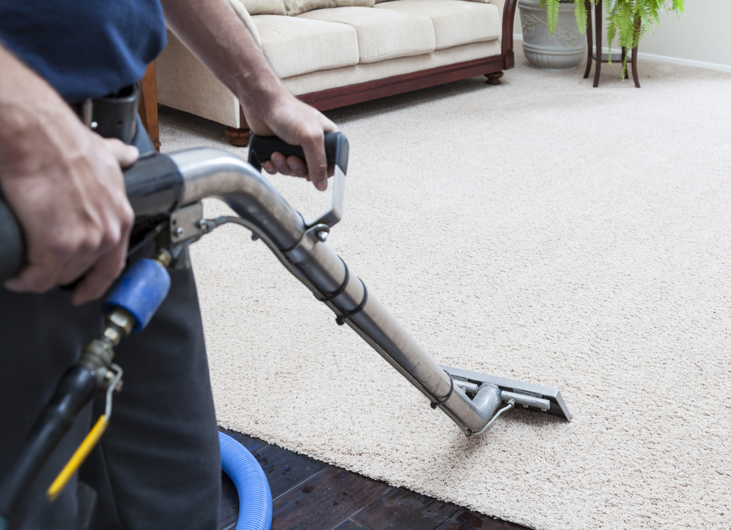 Carpet Cleaners in Nottingham: Expert Stain Removal and Deep Cleaning